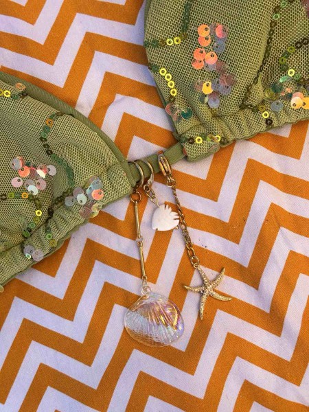 seashell 1